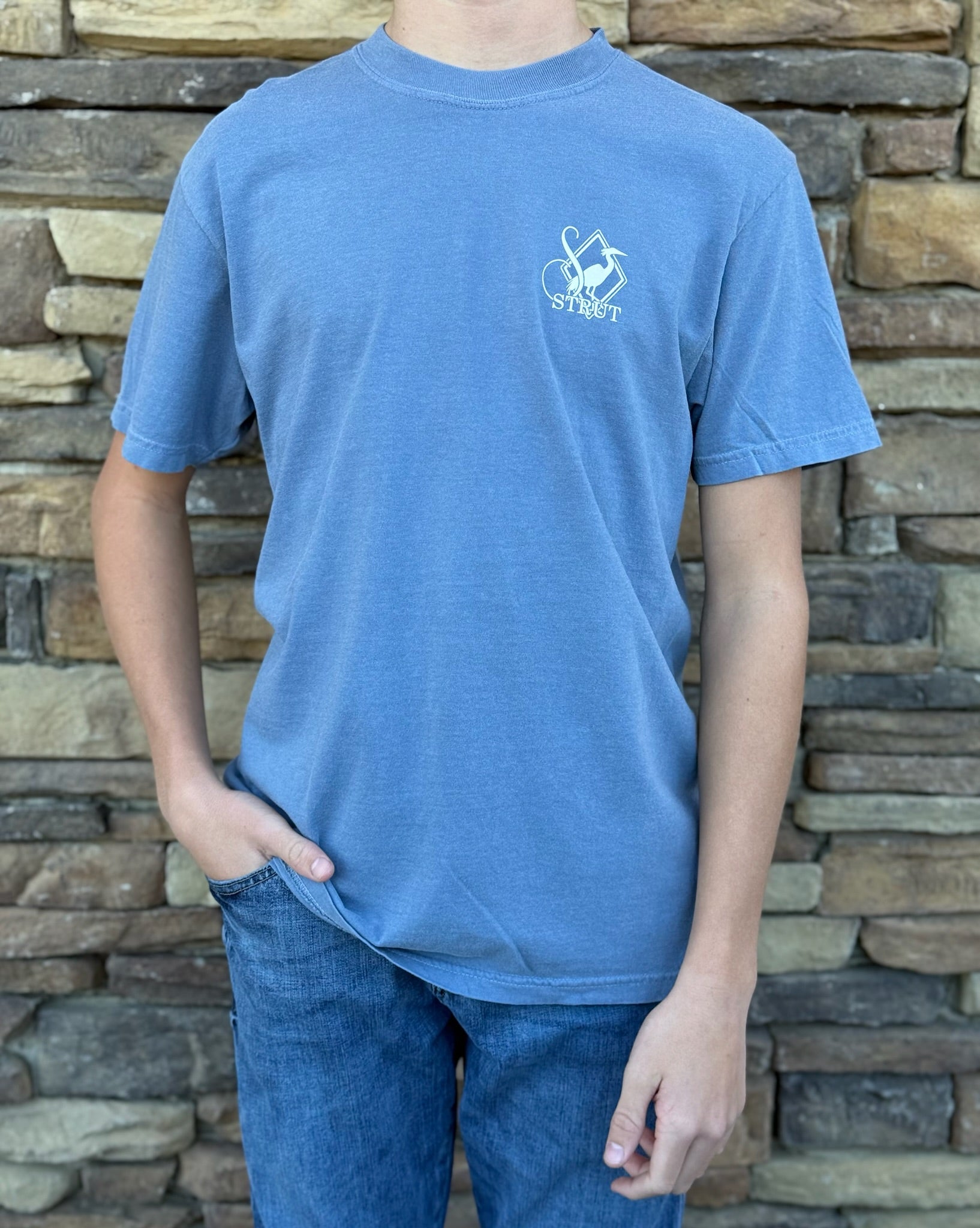 Southern Strut Marsh dog with ducks tee