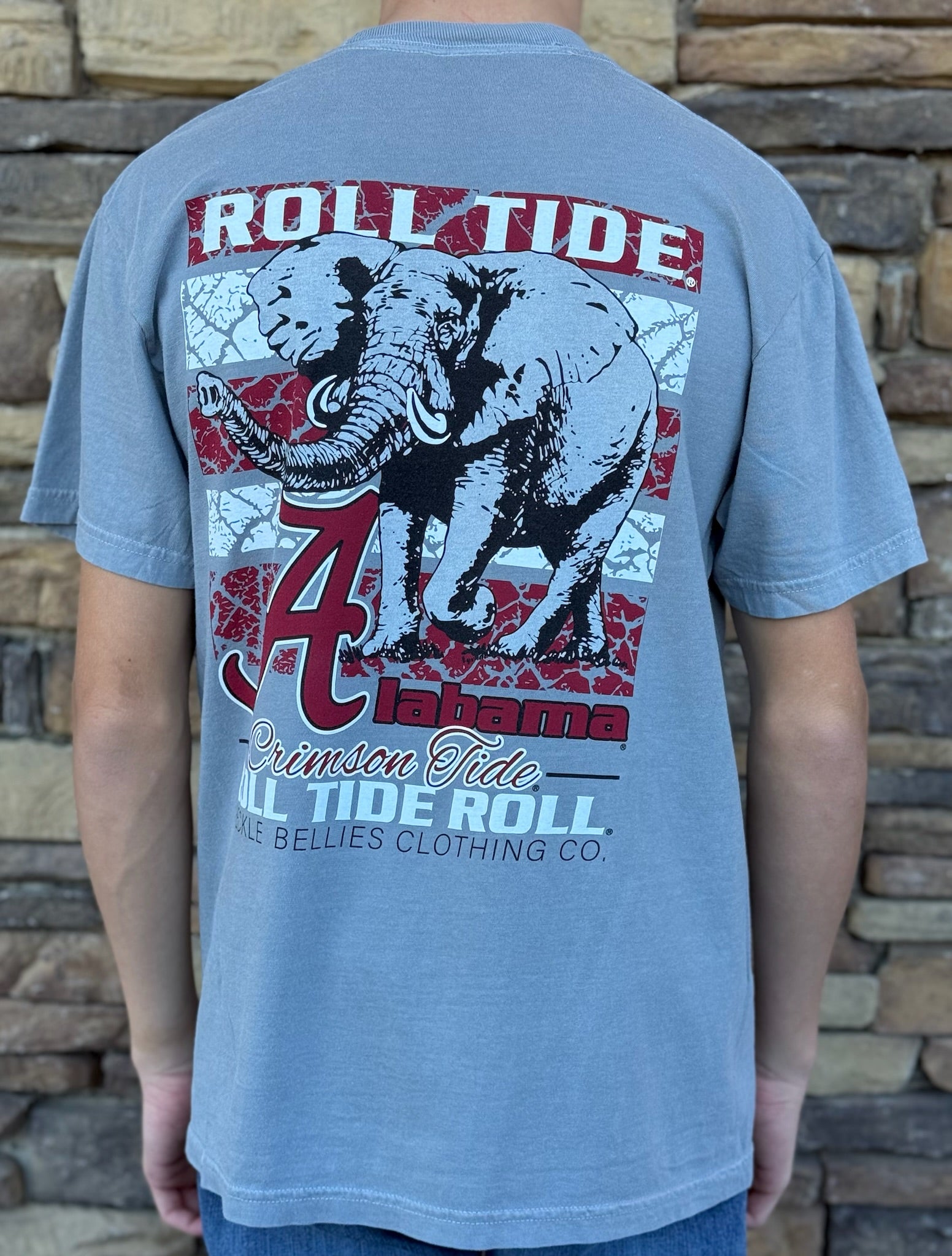 Alabama grey big elephant