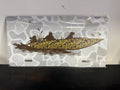 Scent south duck boat tag
