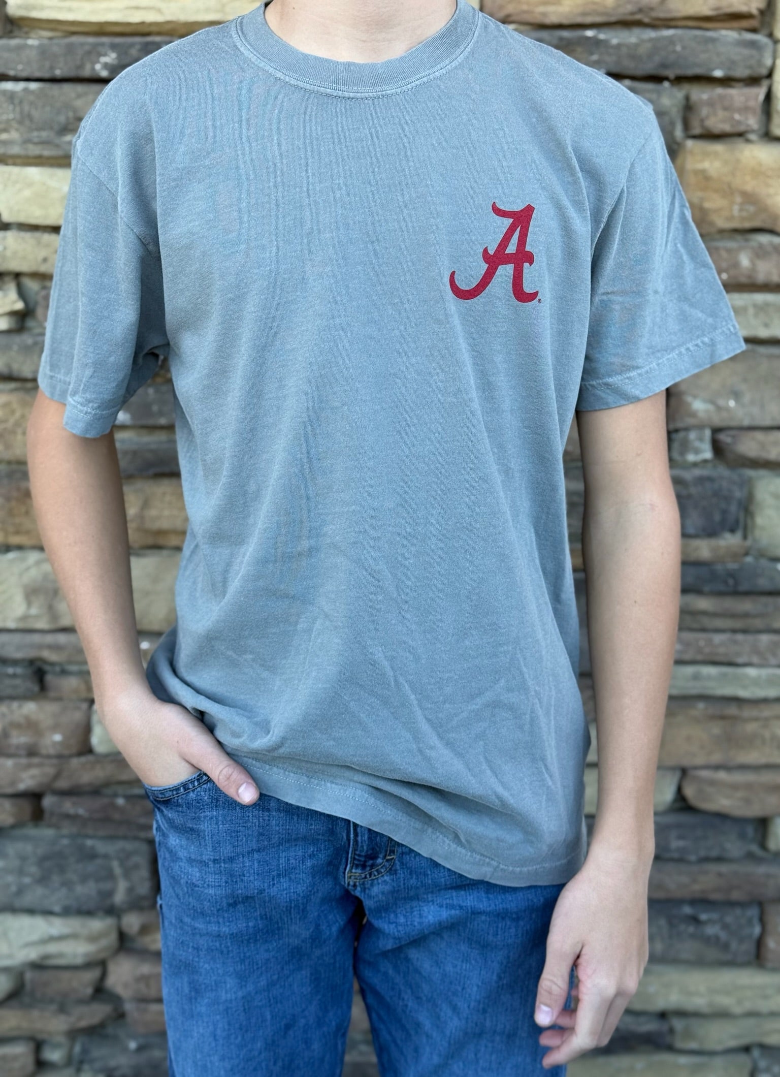 Gray Alabama Stadium Tee Shirt