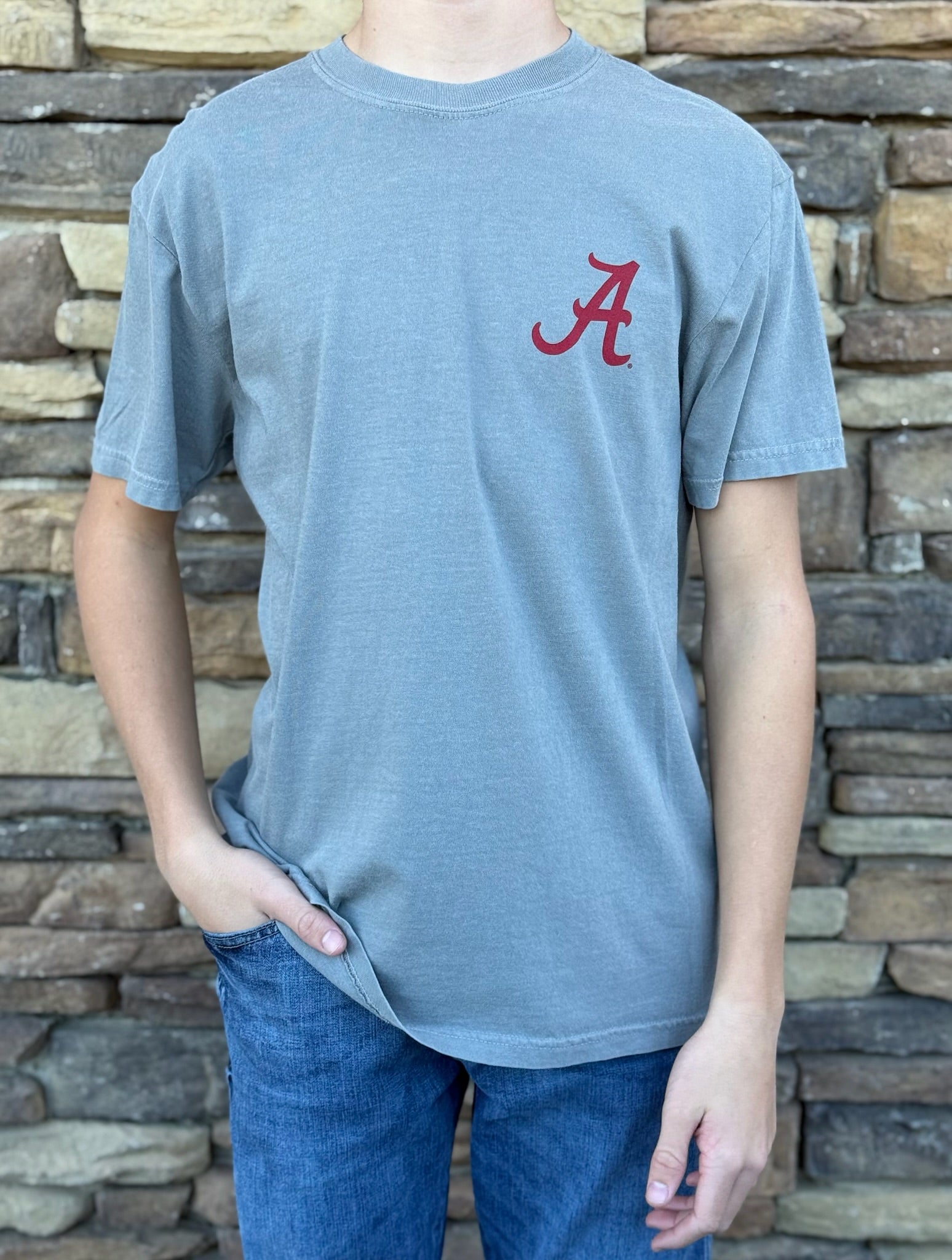 Alabama brown lab tee