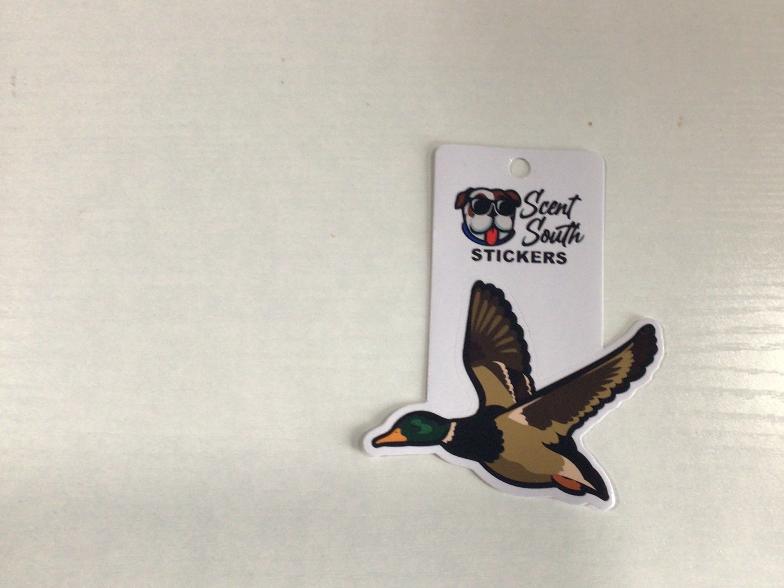 Scent South mallard sticker