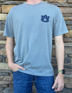 Auburn grey big tiger