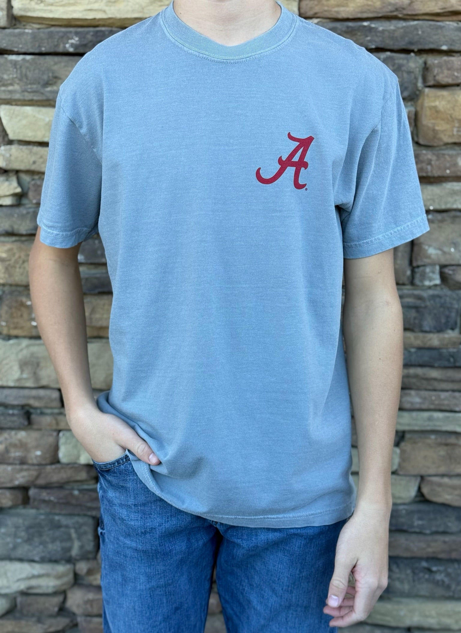 Alabama grey big elephant